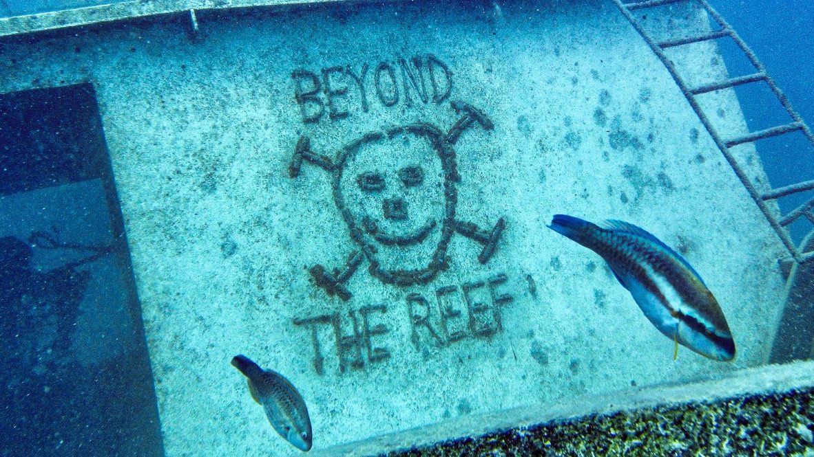 Interactive Diving Experience at Willie T's Wreck